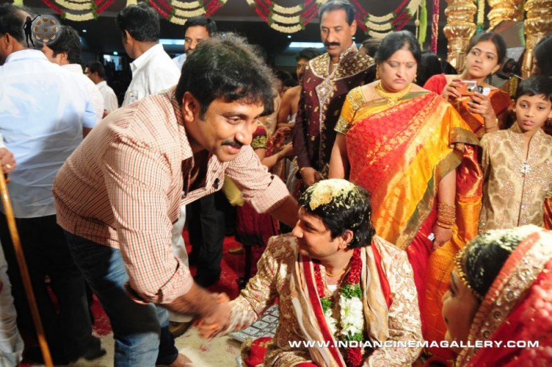 Director Surendra Reddy And Deepa Reddy Marriage Photos